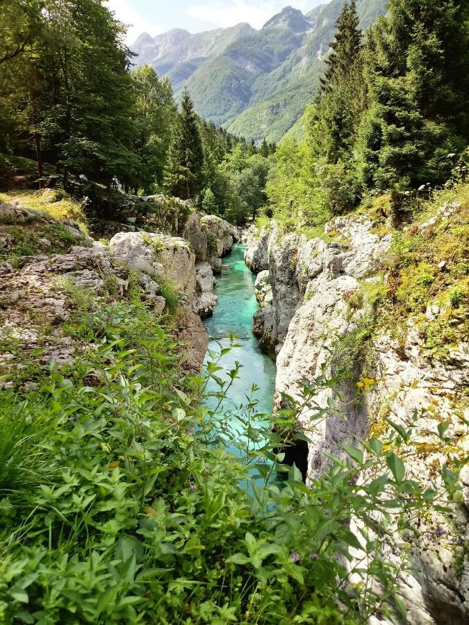 Beti Blu, Kaninska Vas Bovec Dış mekan fotoğraf